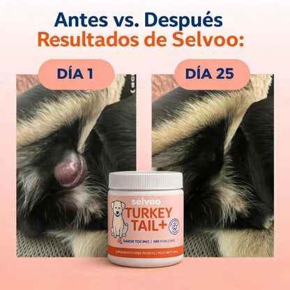 Nº1 en Probióticos