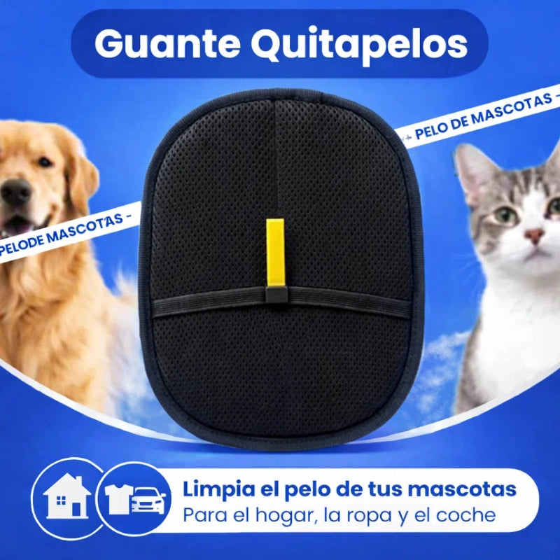 EcoBrush - Nº1 Cepillos