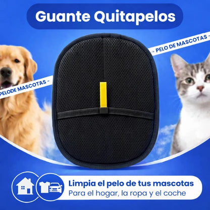 EcoBrush - Nº1 Cepillos