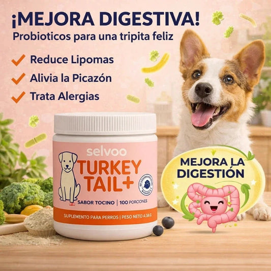 Nº1 en Probióticos