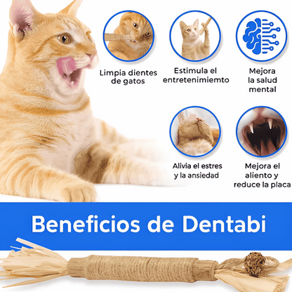 Dentabi - Nº1 GATOS