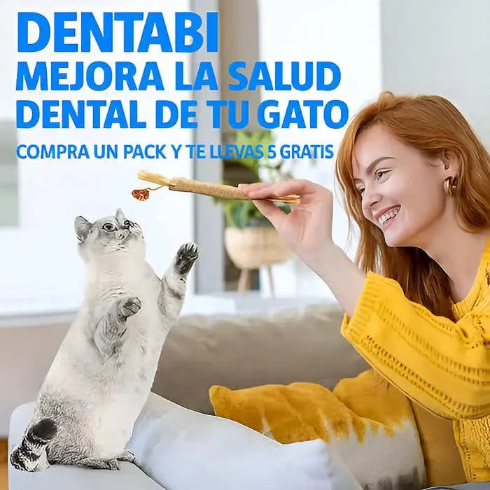 Dentabi - Nº1 GATOS