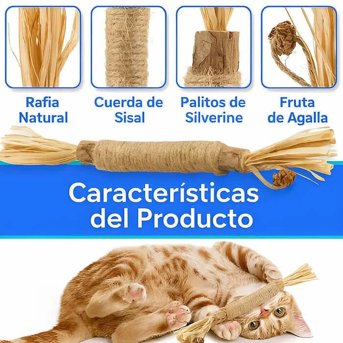 Dentabi - Nº1 GATOS