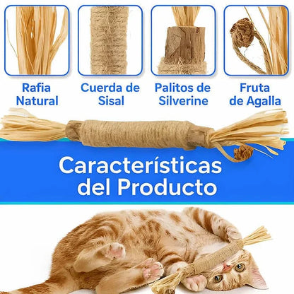 Dentabi - Nº1 GATOS